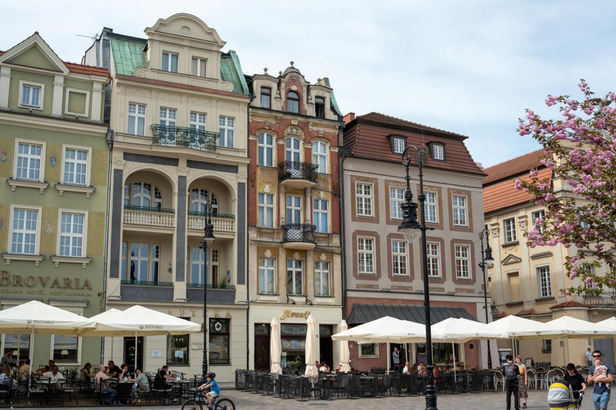 Apartamenty Drevny Kocur Poznań Exterior foto